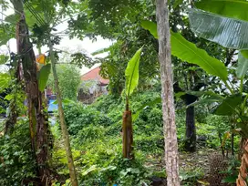 Dijual tanah di Desa Cepaka dekat Canggu