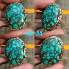 pirus persia jumbo gradasi full daging urat ceplok kuro