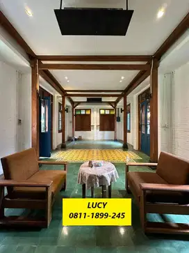 Rumah Dijual Murah 1 Lantai di Senayan Bintaro 14316-UT
