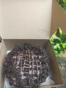 Brownies bento size 13