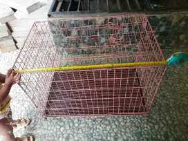 Kandang kucing besar