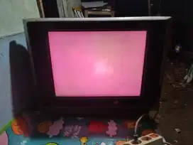 Jual tv advance