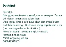 Kura-kura size jumbo