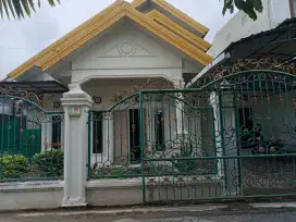 Rumah Asri Aman Nyaman Disewakan