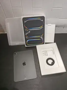 Ipad pro m4 11 inch 256GB wifi only second ibox like new