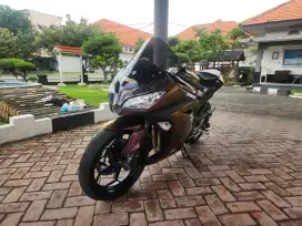 Ninja 250 fi up 300cc