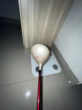 Driver Mizuno Pro (1)
