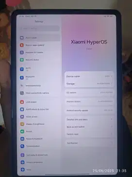 Xiaomi pad 6 8/256gb wifi only masih ada garansi