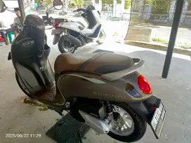 Honda Scoopy 2022
