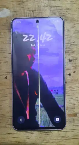 Hp Samsung S21 FE
