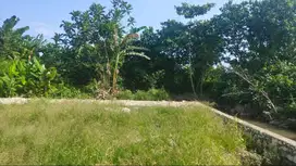 Dijual Tanah Sawah Strategis di Antasura – Denpasar Utara