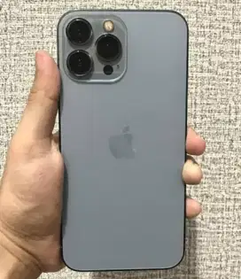 Iphone 13 Promax Pro Max 256 gb