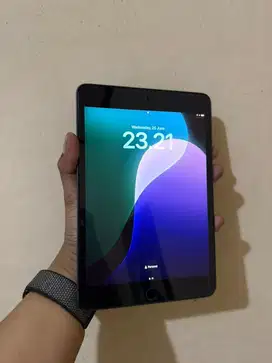 iPad Mini 5 256 GB PA/A iBox