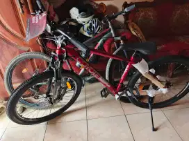 Sepeda gunung dewasa Coyote