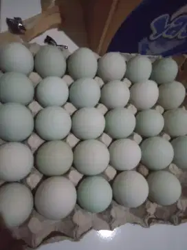 Di jual telur bebek mentah asin dan matang.dan telur ayam kampung