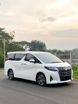 Toyota Alphard G ATPM 2.5 A/T 2019 KM LOW !!!