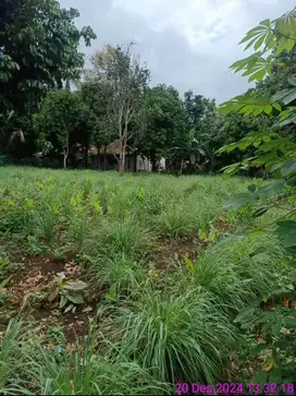 DIJUAL TANAH LUAS 1200m