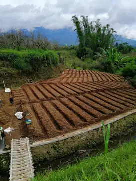 Kebun subur di Batu Jawa Timur