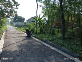 Sewa tanah murah di Jetis Tirtomartani Kalasan hanya 6 juta pertahun