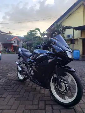 ninja rr new 2013