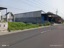 Disewakan tanah jl lpmp Jetis Tirtomartani hanya 7 juta pertahun