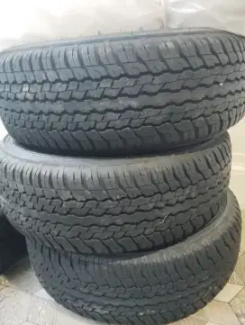 Ban Dunlop 99 persen