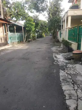 Tanah Sulfat Pandan Wangi Blimbing Malang