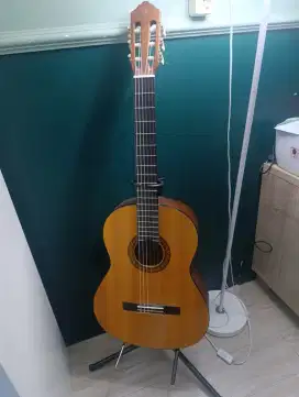 Gitar Yamaha C315