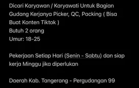 Lowongan Kerja Packing, Picker, QC, Konten