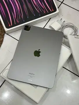 Ipad pro m2 128 resmi ibox