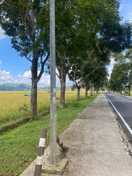 Dijual tanah lokasi bagus pinggir jalan raya cikijing ciamis