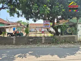 Dijual Tanah Kavling Murah 100 Meter dari Jl. Provinsi Gatot Subroto