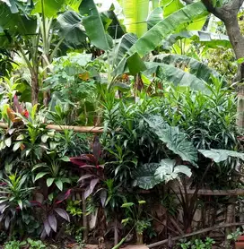 Tanah Lenteng Agung dekat SMP 98 Jakarta Selatan