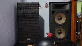 Soundking 12x2 twiter