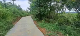 JUAL CEPAT BU LAHAN KEBUN DI DAYEUH,JONGGOL,BOGOR