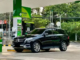 CASH Mercedes-Benz Gle250D Panoramic 2018 Diesel