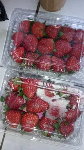 Strawberry fresh