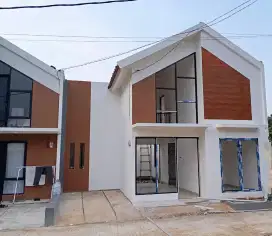 Rumah bebas banjir di cagar alam depok