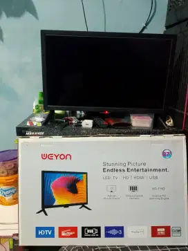 TV DIGITAL WEYON 27 INCH
