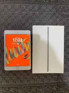 iPad Mini 5 64Gb iBox