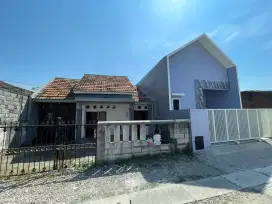 Rumah minimalis