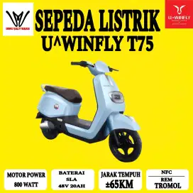 Sepeda Listrik Uwinfly T75 800watt