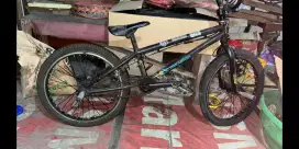 Bmx Polygon freestyle
