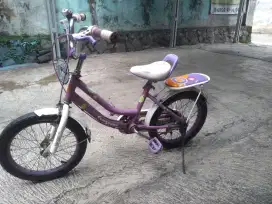Jual sepeda anak