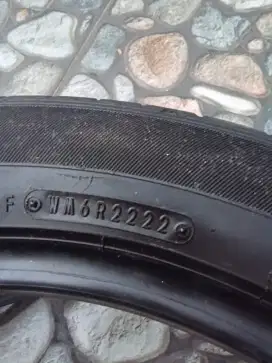 Ban Dunlop 205/55/17