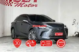 Lexus RX 350 H Matic 2023 Abu abu tua RX350H at grey RX 350H low KM