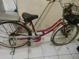 Sepeda keranjang united dewsa