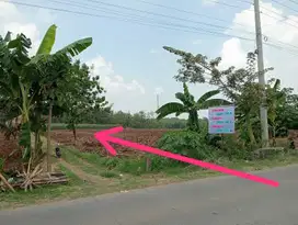 tanah zona industri murah luas dekat datar dekat tol gondangrejo
