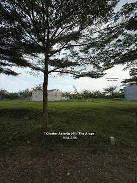 Tanah Kavling Di Cluster Asteria Hill, The Araya Malang(OLX299)