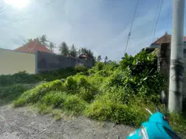 Tanah View Sawah 456m² di Abiansemal